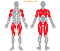 Fitness stroj - Masížní zařízení - F28 Fitness stroj - Masížní zařízení - F28