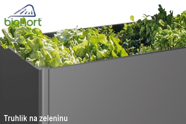 Biohort Zvýšený truhlík na zeleninu 1 x 1 tmavě šedá metalíza .